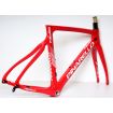 Pinarello gan disc online frameset